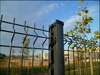 PVC COATED CHAIN LINK MESH FENCE from ANPING COUNTY AI RUI METAL WIRE MESH CO.,LTD
