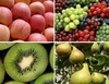 FRUIT & VEGETABLE IMPORTERS & WHOLESALERS