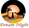 DUNE BUGGY DESERT TOUR SERVICES from DREAM NIGHT TOURS