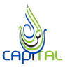 FUEL INJECTION PARTS AND SERVICES from CAPITAL TECHNICAL SERVICES & TRADING EST.