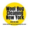 LEAK CALIBRATOR AND LEAK MASTER from WOOL RUG CLEANING NEW YORK