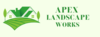 ARTIFICIAL GRASS from APEX LANDSCAPE WORKS LLC