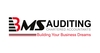View Details of BMS Auditing