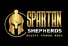 UNINTERRUPTED POWER SUPPLY from SPARTAN SHEPHERDS