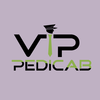 BLUETOOTH DATA LOGGER from VIP PEDI CABS