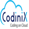 INFORMATION SERVICES from CODINIX TECHNOLOGIES INC. - SALESFORCE CONSULTING PARTNER