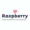 DIGITAL MARKETING AGENCY from RASPBERRY IT SERVICES