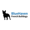 FRENCH RESTAURANT from BLUEHAVEN FRENCH BULLDOGS