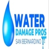 LEAD BASED ONE PACK STABILIZERS from WATER DAMAGE PROS - SAN BERNARDINO