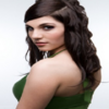 ARTIST from APIS BEAUTY