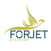AIRCRAFT CHARTER, RENTAL AND LEASING SERVICE from FORJET AVIATION